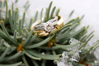 Beautiful wedding rings posed on evergreen branch with snow
