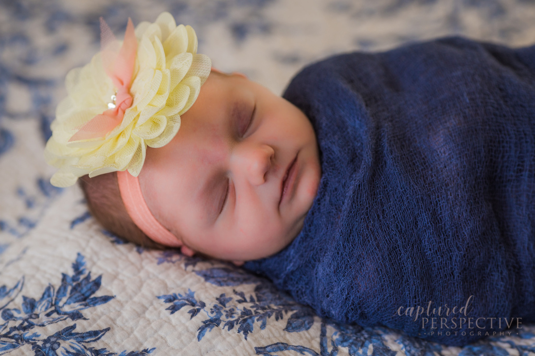 lifestyle photographer, outdoor photographer, newborn babies, newborns, family photographer