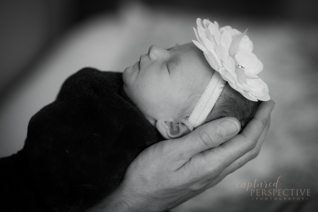 lifestyle photographer, outdoor photographer, newborn babies, newborns, family photographer