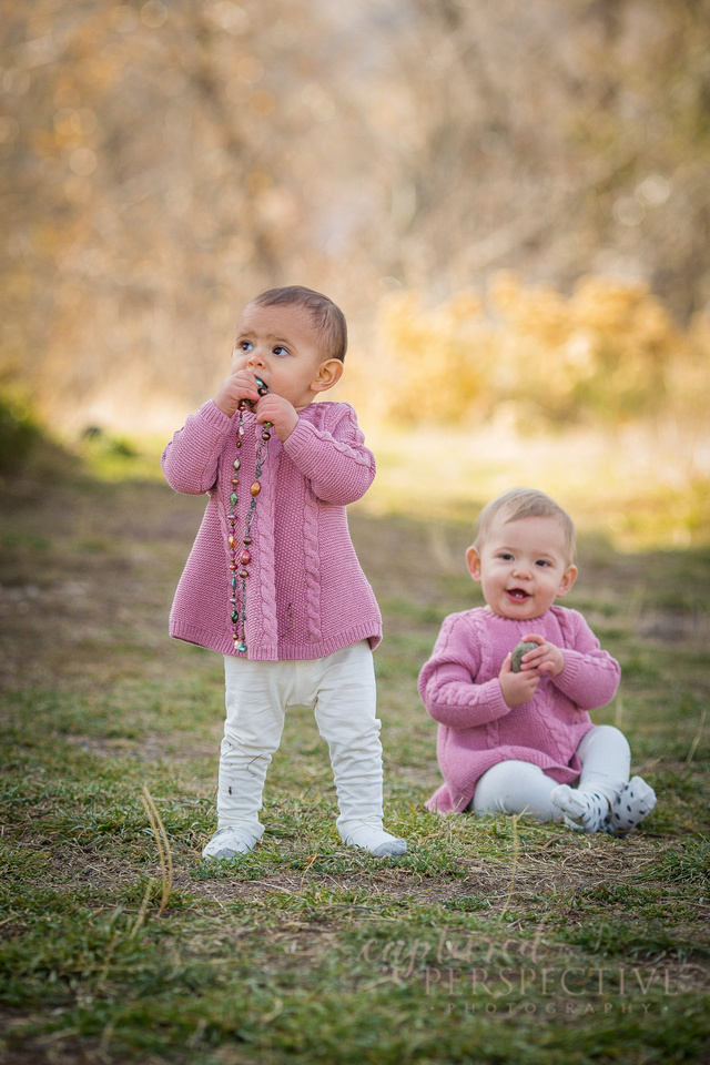 twins, family, family photographer, babies, one year old, toddlers, candid moments