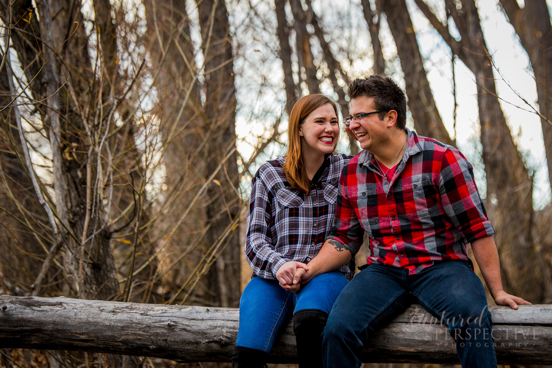 family portraits, family photographer, family session, portrait photographer, denver photographer, boulder photographer, midwest photographer, family, kids