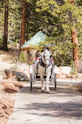  "Affordable mountain photographer in Colorado", "Colorado wedding photographer", Denver, "Denver wedding photographer", "Denver's best engagement photographer", Key, ListAffordable, Wedding, "affordable engagement photographer", "affordable engagement photographer in Colorado", "affordable engagement photographer in Denver", "affordable engagement photographer in Denver", "affordable wedding photographer", "affordable wedding photographer in Colorado", "best Colorado wedding photographer", "best Denver wedding photographer", "destination wedding photographer", "engagement photographer", "engagement photographer in Colorado", "high end wedding photographer in Denver", in, "outdoor photographer", "outdoor wedding photographer in Colorado", photographer, "professional wedding photographer", "traveling wedding photographer", "vacation photographer", wedding, "wedding photographer", "wedding photographer in Colorado", "wedding photographer world wide", words, "world wide wedding photographer"