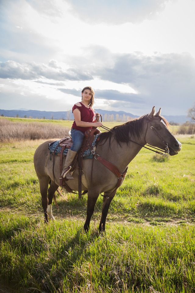 Family portraits taken with Horses at Standley Lake Westminster CO