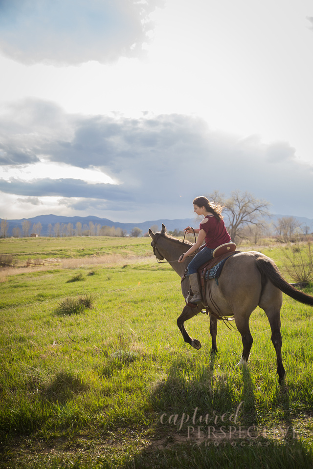 Family portraits taken with Horses at Standley Lake Westminster CO