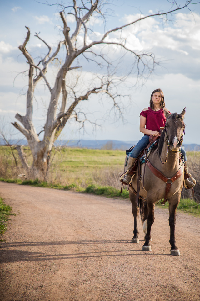 Family portraits taken with Horses at Standley Lake Westminster CO