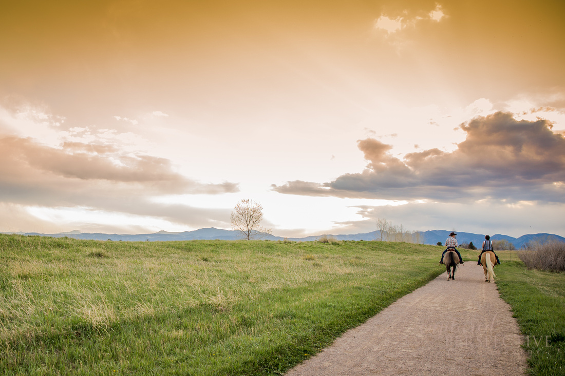 Couple riding off into the sunset on their horses